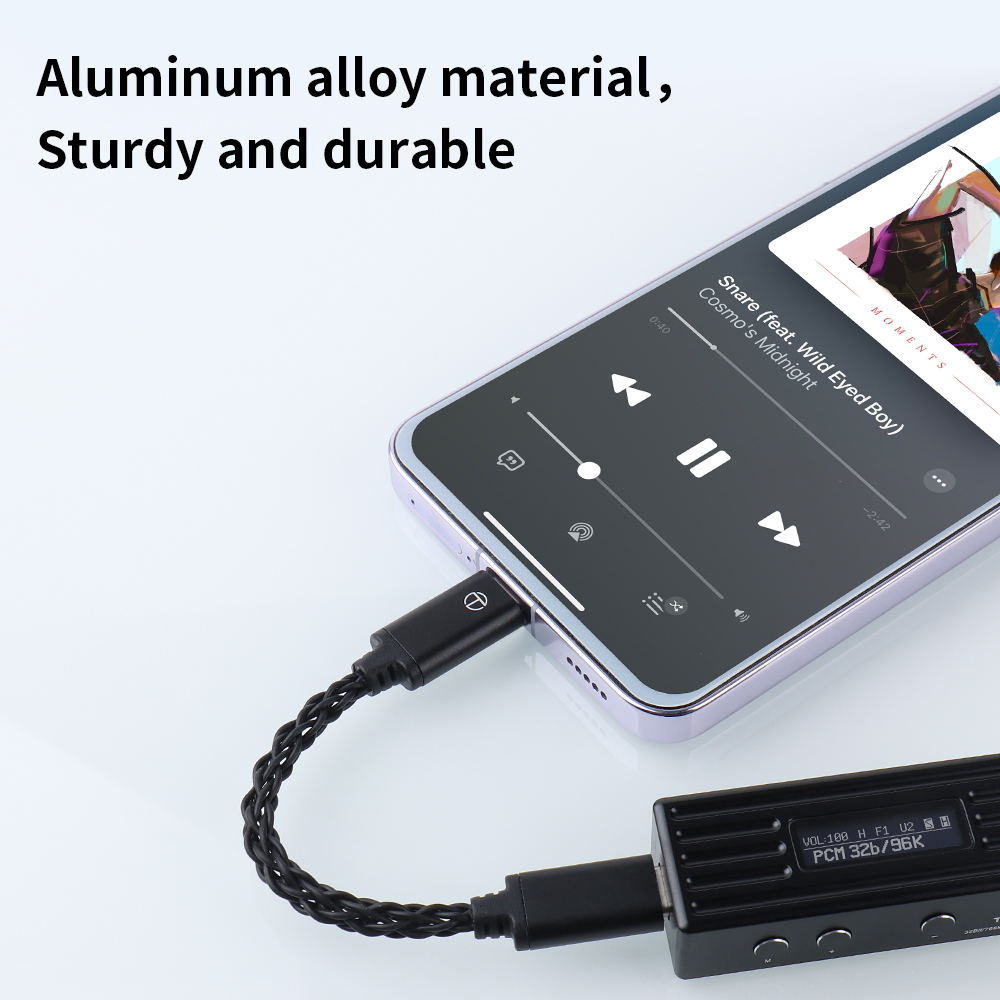 TRN から変換ライン Type-C DAC アンプアップグ - Usb C Earphone のレビューと価格
